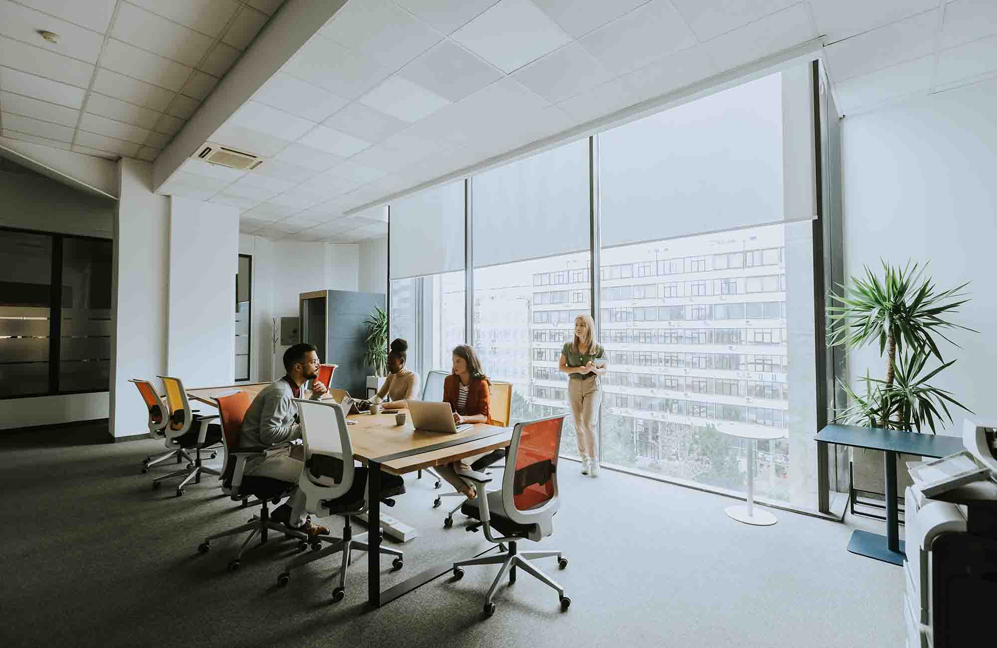 Gorden Roller Blind