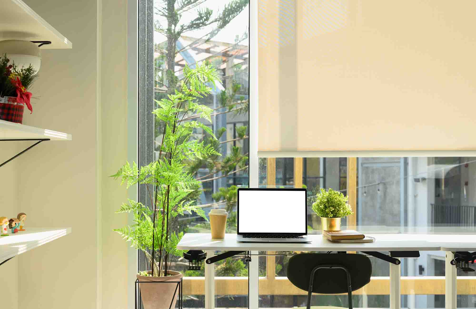 Roller Blinds