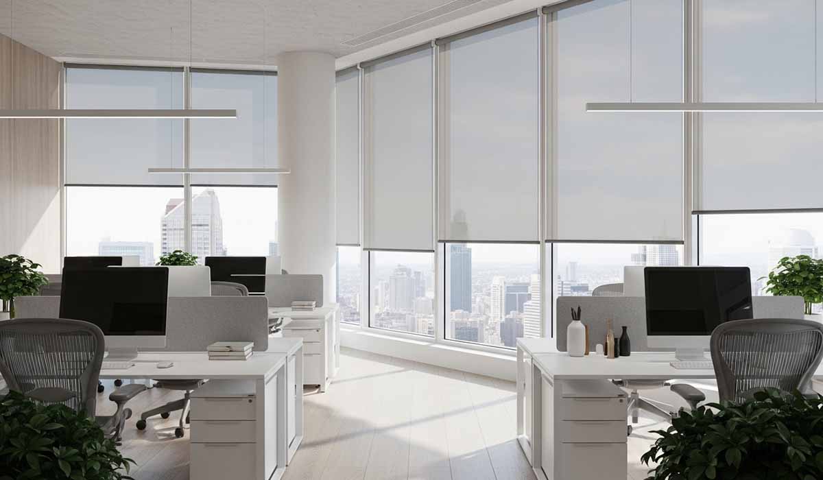 Office Roller Blind