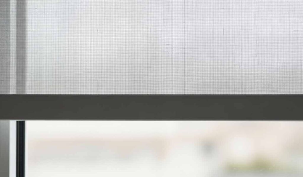 Kenapa Roller Blind Screen Adalah Pilihan Terbaik untuk Rumah Tropis
