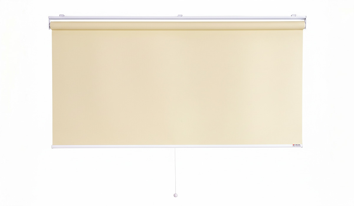 Spring Roller Blind