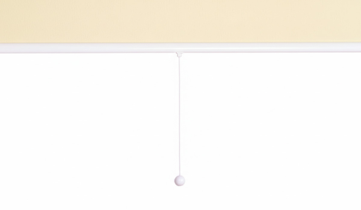 Spring Roller Blind