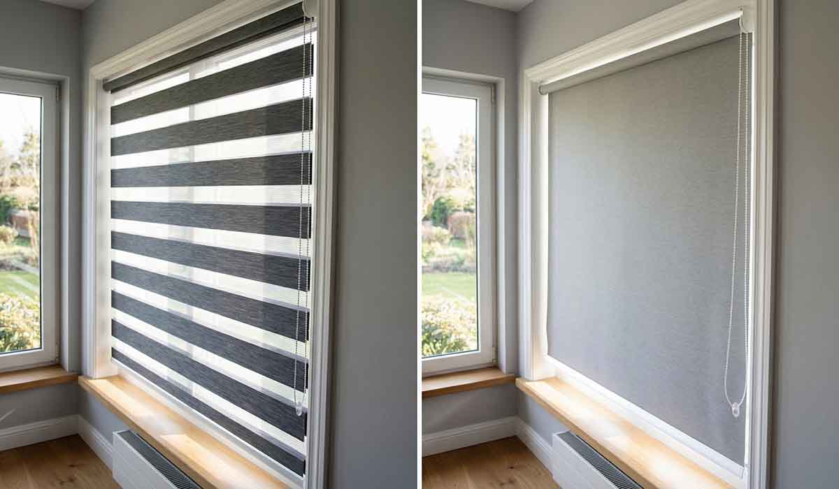 Zebra Blind vs Roller Blind