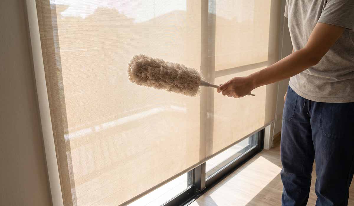 Sunscreen Roller Blind